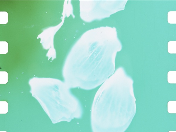 From Autumn to Winter